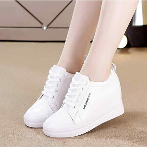 V[Y fB[X Cq[Xj[J[ zCg  JWA X^CAbv ׌ h ig ʋ ItBX EhgD PUU[