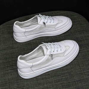 Xj[J[ fB[X  C ؂ v bV ʋC XNGAgD ؂ւ JWA ig s Ōt i[X t zCg