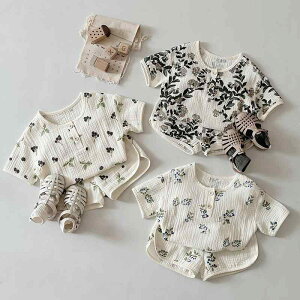 LbY ̎q pW} [EFA 100% _uK[[ ㉺Zbg ԕ k t _炩 \tg^b` ʋC z K ig(x2)