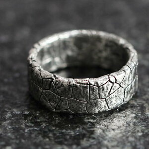 w jp yAO IWifUC I 􉽊w͗l Be[W g Vo[bL t[TCY ï  Jbv ig v[g