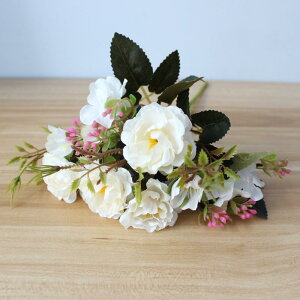  ~j g [sA O u[P VNt[ A[gt[ DIY  CeA fBXvC ʂȃJ[