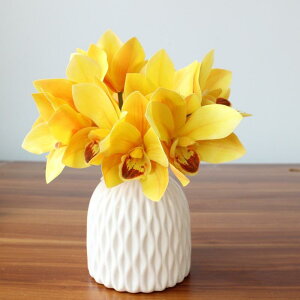 VNt[ VrWE 4{ AȎG 3Dvg { CeA  EFfBO uC_ ԑ u[P zCg sN [Y IW CG[ O[