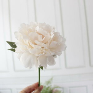  ~jsIj[ VNt[ A[gt[ { tFCNt[ CeA EFfBO uC_   t[AWg   Vp sN p[v