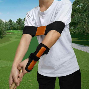 St Xgoh A[oh XCOK SҌ Œ r tH[P pT|[g Lk lIvf ubN uE