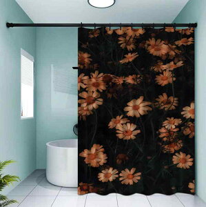 V[J[e  C Ԏd؂ ډB vCoV[ی h ͂ hJrH |GXe y  _ Vv  jbgoX gC