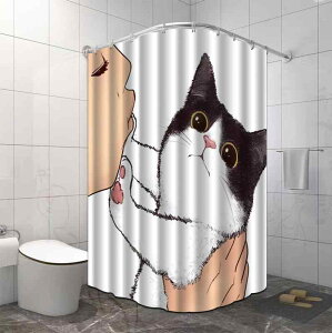 V[J[e J[e oXJ[e Cpi h |GXe _ Vv n CX^  mg[ CeA Ԏd؂ ډB