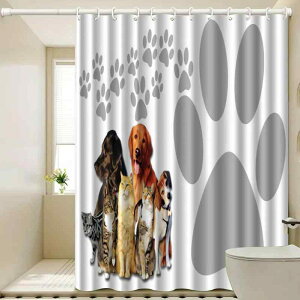 V[J[e p  fW^ ˂_ sv h hJr |GXe _ Vv  