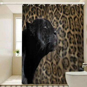 V[J[e fW^vg  p sv h hJr |GXe _ Vv  ȒP