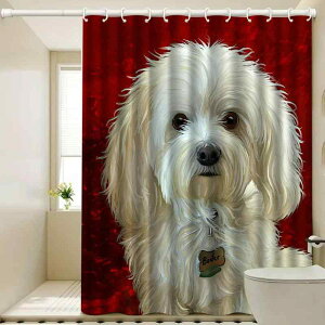 V[J[e h |GXe 3DfW^vg  Ԏd؂ _ Vv  hJr 􂦂 jbgoX ډB ʂȕ