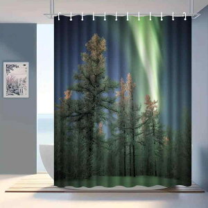 V[J[e I[ i fW^vg h  ͂H |GXe   oX[ Ԏd؂ ډB 悯