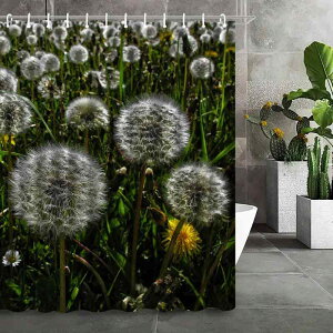 V[J[e h  3DfW^vg ^|| |GXe  oX[ Ԏd؂ ډB C Eߏp jbgoXp