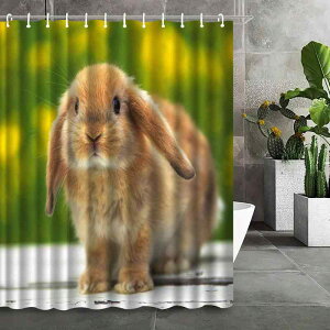 V[J[e L[g ETM`[t  fW^vg p oX[ h H hJr Ԏd؂ ډB |GXe