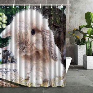 V[J[e 킢  Aj} |GXe h  hJr oX[  Ԏd؂ ډB ͂˖h~ Jsv fW^vg