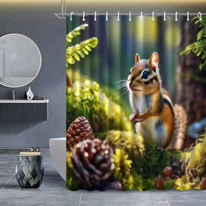 V[J[e |GXe h  hJr p Ԏd؂ 킢 X Aj}fUC sv