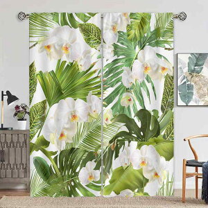 J[e ngJ[e |GXe h Ռ Ռ70-90% vg ԕ Ηt {^jJ ̗t Q rO ItBX Lb` 䏊p ډB Ԏd؂ (x2)