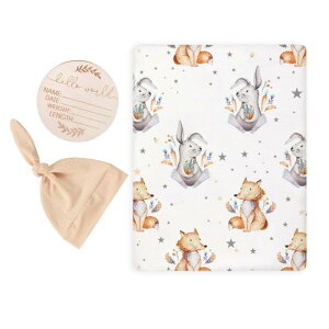 xr[ V Ԃ Xh  Q 鋃΍ [ˑ΍ Q܌^  y ʋC z 100% Rbg ɗD 3_Zbg