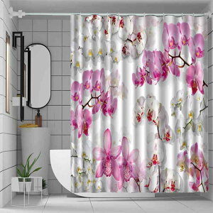 V[J[e  oX[p h fW^vg |GXe ډB ヂ_ Vv  lXȕ Jsv