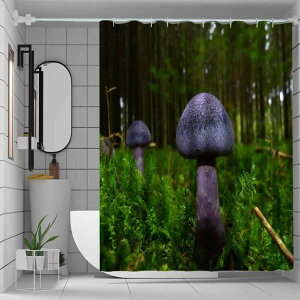 V[J[e 3DfW^vg h hJr  |GXe Jt̂ oX[p Ԏd؂ ډB EHbVu LxȃTCYWJ