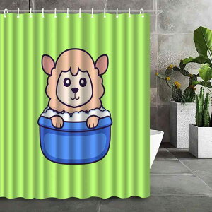 V[J[e  3DfW^vg |GXe h oX[ Ԏd؂ C [fR[V 킢 _ Vv CeA sv