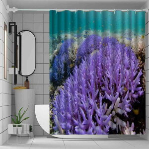 V[J[e p oX[p h X蕿 I[VfUC ׃fW^vg |GXe Ԏd؂ ډB ͂˖h~ jbgoXΉ CeAG