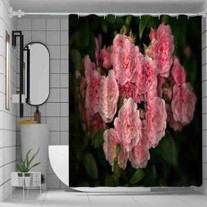 V[J[e 3DfW^vg [Y ԕ h hJr  |GXe p oXJ[e C oX[ ډB  