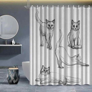 V[J[e XPb` A[g G敗 Vv _ |GXe h  Jsv oX[ Ԏd؂