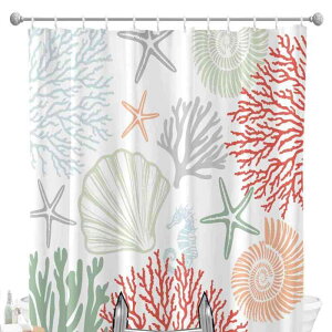 V[J[e oX[J[e Cm TS Lk C̐ } fW^vg 掿 N₩ h  |GXen  Ԏd؂ ډB