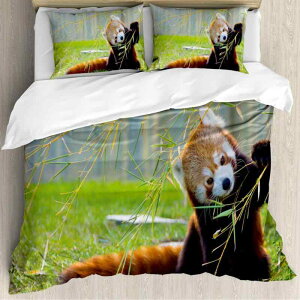 zcJo[ Jo[ LbY lp 킢 N}  vg QZbg ʋC 炩 Gǂ w@ 􂦂 CeA