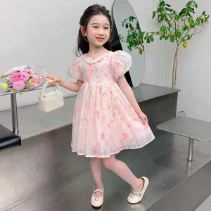 s[X ̎q LbY K[Y `[bv ԕ vZXhX Rbguh ȍ   X^CbV 킢 GKg t@bViu 