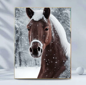 _ChA[g Lbg 5D xn iF  ۂr[Y Sʓ\  DIY lp S 킢 k LoX rO Q  (x2)