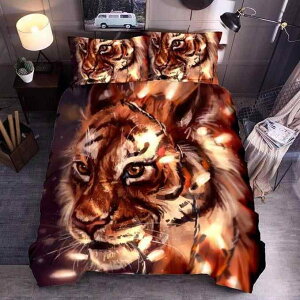 zcJo[ 3_Zbg |zcJo[ V[c Jo[ 3DfW^vg 􉽊w͗l ĕfUC |GXe D  F