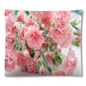 ^yXg[ sN ԕ }`bN t[ Ǌ|  A Ri CeA z[fR[V [sAX^C |GXe rO Q  _CjO EH[