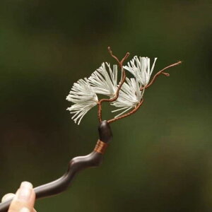 񂴂  h ؐ `[t  VÓT g GXjbN Vv GKg i ig fC[[X wAAW ܂Ƃߔ a `CihX 