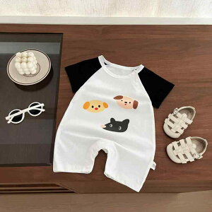 p[X xr[ j̎q Ԃ c   Rbg  t o Oo ig 킢   ؍ Jo[I[