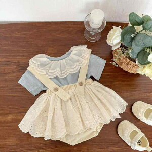 TVc xr[ ̎q  n t Rbg N[lbN  z K 킢   ؍ t sN u[ O[