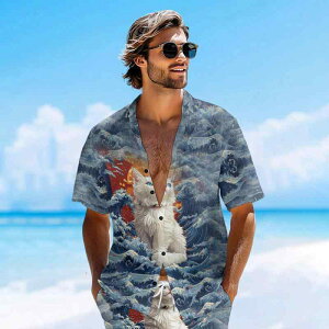 Vc Y jp AnVc ][g r[` JWA I[vJ[ {^  Aj}CXg T[tB  y ʋC  |GXe EHbVu t