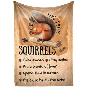 uPbg J[gD[ X fW^vg tl ѕz 킢  Ђ| [΍ \t@Jo[ y ӂӂ |GXe t uE