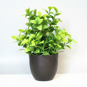 tFCNO[ [J ~j A vX`bN A ϗtA  O CeA fBXvC