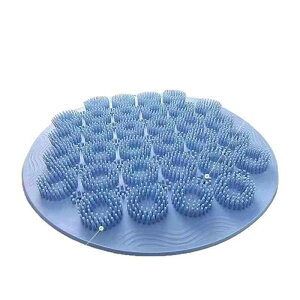 {fBuV Ǌ| zՎ VR w PA }bT[W Y{ l C ZtPA p \tg^Cv(x2)