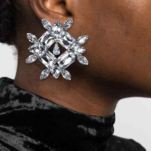 C[Jt fB[X mz[sAX Ԃ ĕ g 􉽊w͗l  CXg[ NX^ S[h Vo[ I dCbLH ANZT[