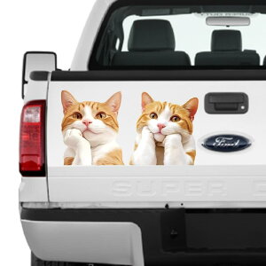 EH[XebJ[ 킢 L g LN^[  Aj} ǎV[ h h h hJr ȔS PVCf  rO Q q fR[V(x5)