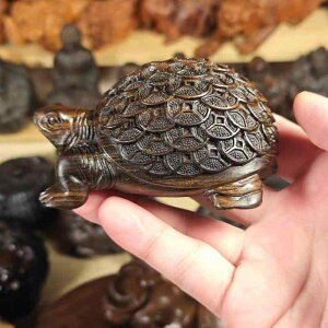 u TCY ChlVAY  I KT N  J^ bL[ACe  fXN ԓ J[ANZT[ rO CeA 蕨 ؕ _