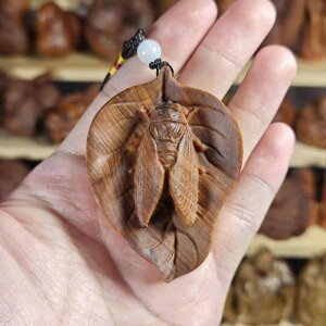 u R  VR n؍ 蒤 ؒ  |  N J^  bL[ACe CeA 蕨 Mtg v[g  ItBX  rO AWAeCXg