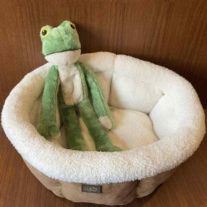 ybgp p f^PA  v ʂ o XNC[J[ XgX Vѓ ^ ^ ^