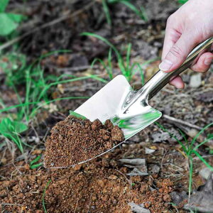 |pi XeX ̌^ ƒp K[fjOc[Zbg ^Vx XRbv Ԓd ~ Aւ 