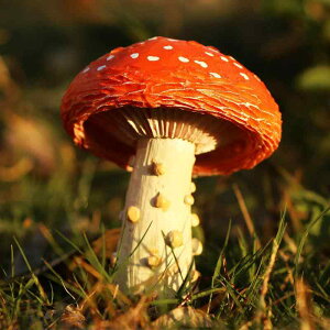 K[fI[ig  ̂ IuWF A 킢 Jt 뉀 O iϑ A ~ ~j`A WI} fR[V