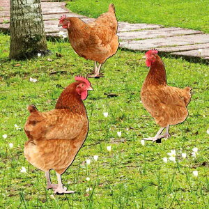 K[fsbN jg AN Jt ʈ O  킢 j[NfUC AN nʑ} K[fI[ig GNXeA A[gIuWF