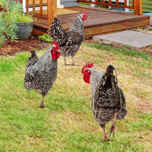 K[fsbN  jg Ih h AN ʈ 뉀 O  K[fjO IuWF n}