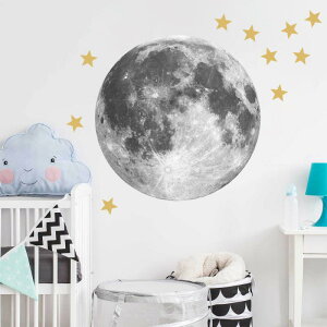 EH[XebJ[ q LbY[   LN^[ 唻 rbOTCY \Ă͂ h PVC rO Q   wifR[V ǎV[(x10)