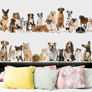 EH[XebJ[ L   A  J[gD[ h PVC S ǎV[ rO Q  L   킢 q Aj}  Jt ȒP ͗lւ